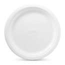 Chinet Classic White 10-3/8" Dinner Plates (165 ct.)