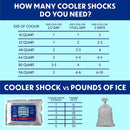 Cooler Shock Reusable Ice Pack (Set of 5)