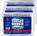 Cooler Shock Reusable Ice Pack (Set of 5)