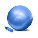PurAthletics 22" Exercise Ball