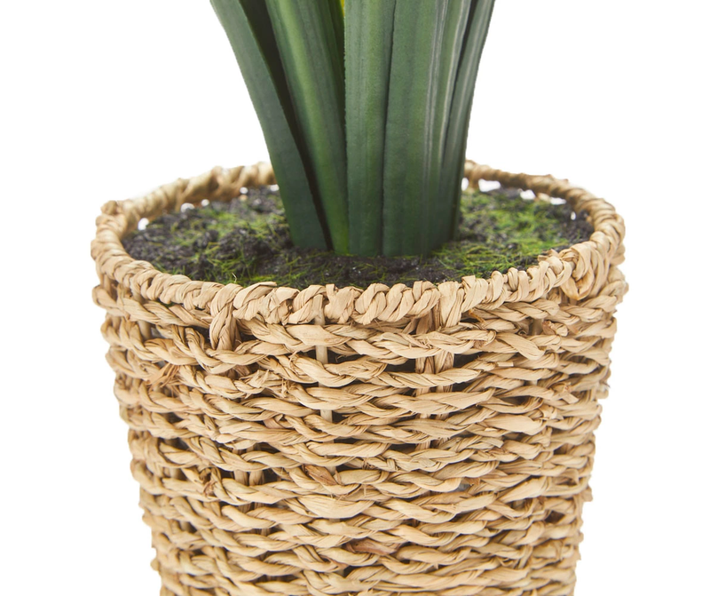 Green Artificial Cymbidium Plant With Brown Woven Pot