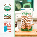 Back to the Roots Organic Mini Mushroom Grow Kit, Harvest Gourmet Oyster Mushrooms In 10 days, Top Gardening Gift, Holiday Gift, & Unique Gift