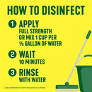 Pine-Sol Multi-Surface Cleaner, Pine Scent, 2 ct., 120 fl. oz.