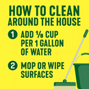 Pine-Sol Multi-Surface Cleaner, Pine Scent, 2 ct., 120 fl. oz.