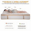 TQX Queen Mattress,12 Inch Hybrid Mattress in a Box: Memory Foam & Pocket Springs for Pressure Relief, Motion Isolation, Medium Firm,CertiPUR-US Certified,Fiberglass Free, 365 Night Trial