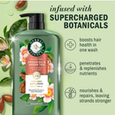 Herbal Essences Argan Oil Green Tea Shampoo 338 floz