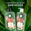 Herbal Essences Argan Oil Green Tea Shampoo 338 floz