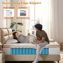 TQX Queen Mattress,12 Inch Hybrid Mattress in a Box: Memory Foam & Pocket Springs for Pressure Relief, Motion Isolation, Medium Firm,CertiPUR-US Certified,Fiberglass Free, 365 Night Trial